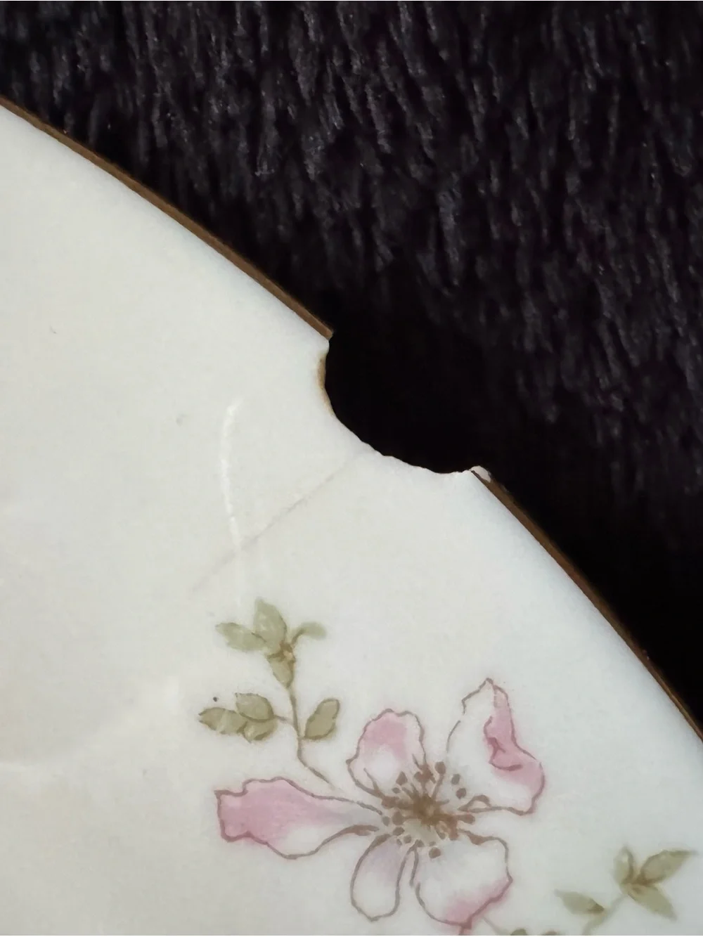 Theodore Haviland New York Apple Blossom 11